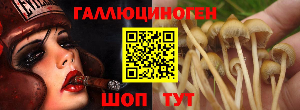 Псилоцибиновые грибы мицелий  Вход с VPN  Тимашёвск 