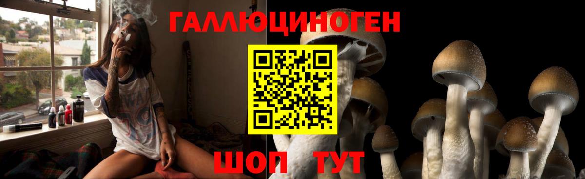 Псилоцибиновые грибы мухоморы Тимашёвск